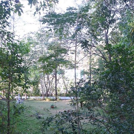 Sterling Nature Trails Dabhosa , Jawahar Birjpara Екстер'єр фото