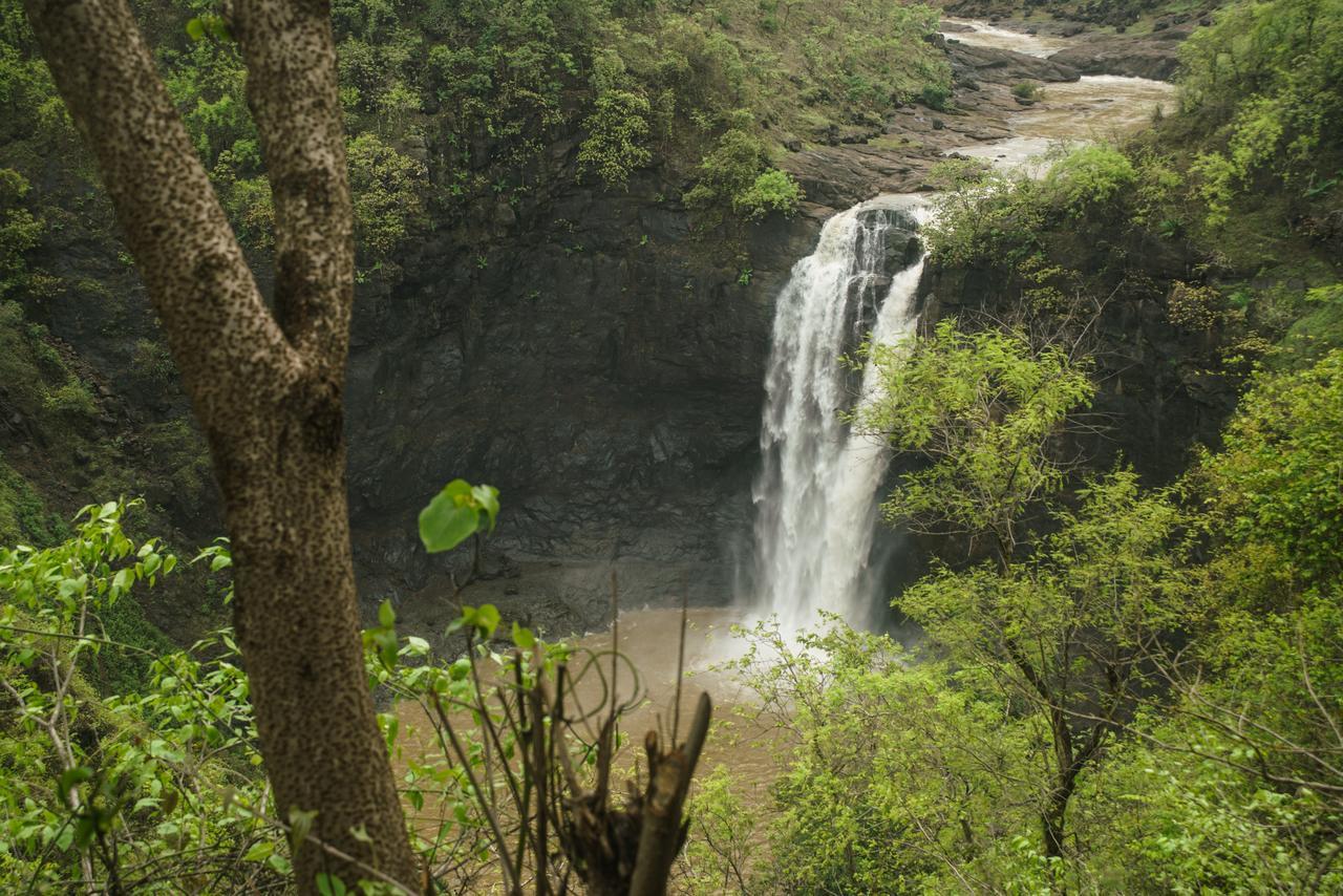 Sterling Nature Trails Dabhosa , Jawahar Birjpara Екстер'єр фото