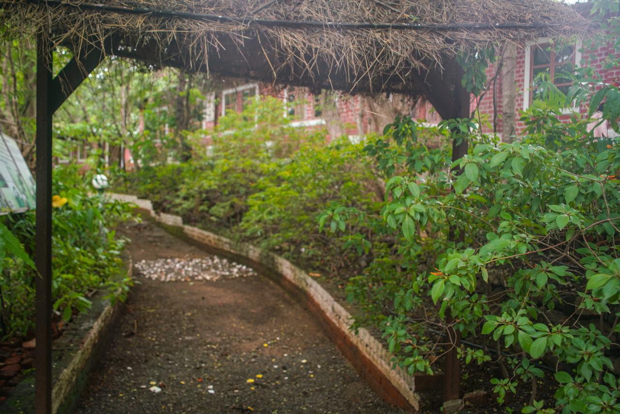 Sterling Nature Trails Dabhosa , Jawahar Birjpara Екстер'єр фото