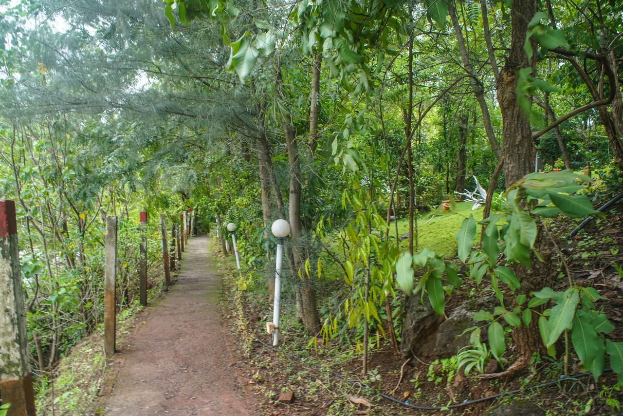 Sterling Nature Trails Dabhosa , Jawahar Birjpara Екстер'єр фото
